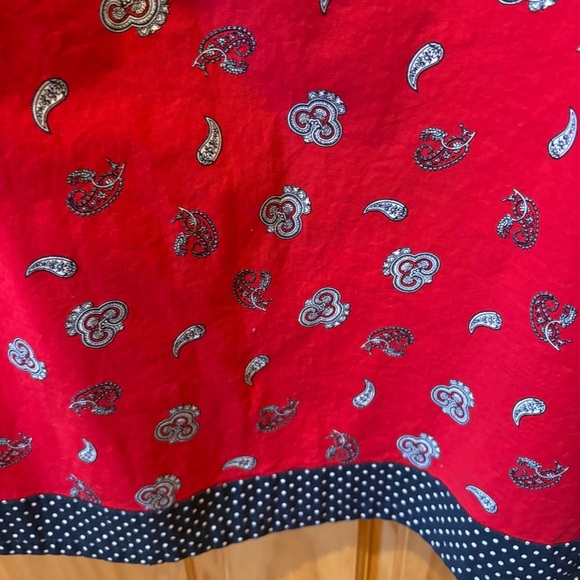 Mountain Lake Casuals paisley print combo top is xl skirt is a size 12 - Picture 4 of 14